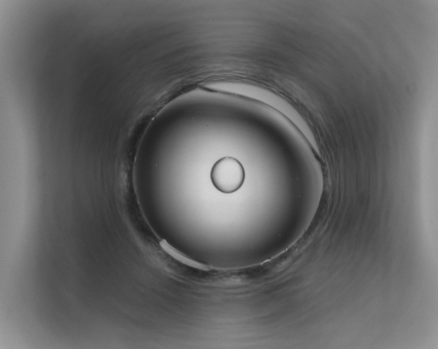 X0000111610456200907171227