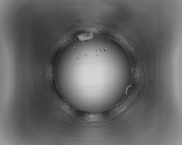 X0000111610466200907171227