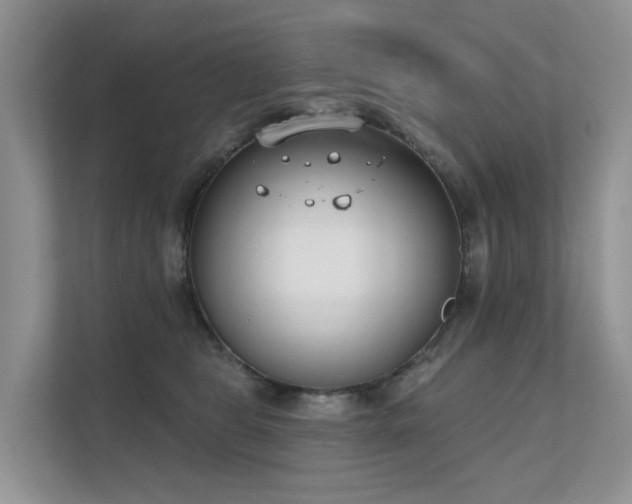X0000111610469200907171227