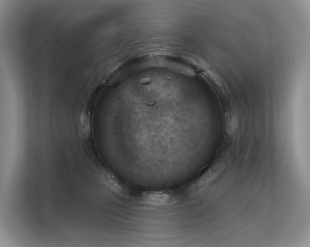 X0000111610471200907171227