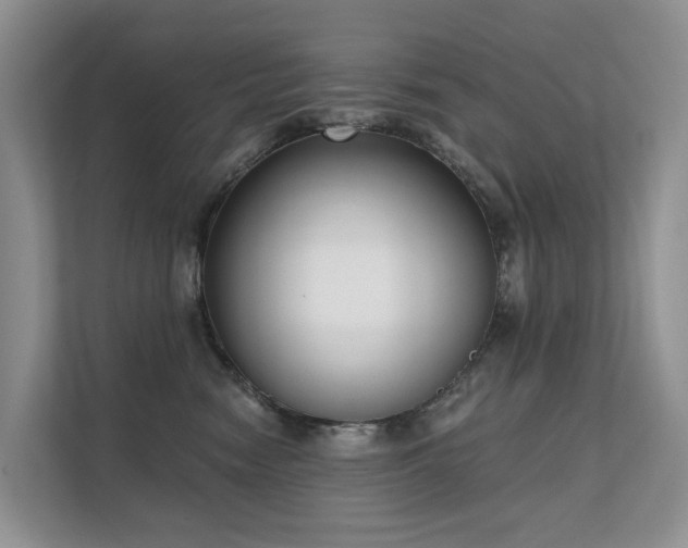 X0000111610474200907171227