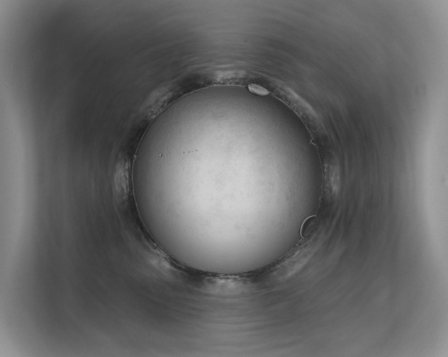 X0000111610475200907171227