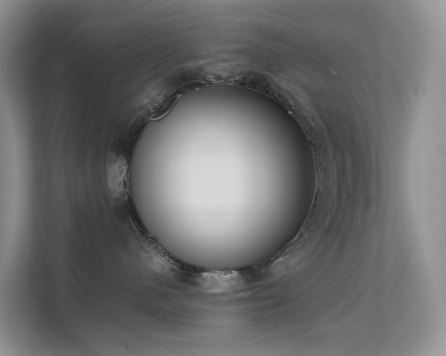 X0000111610480200907171227