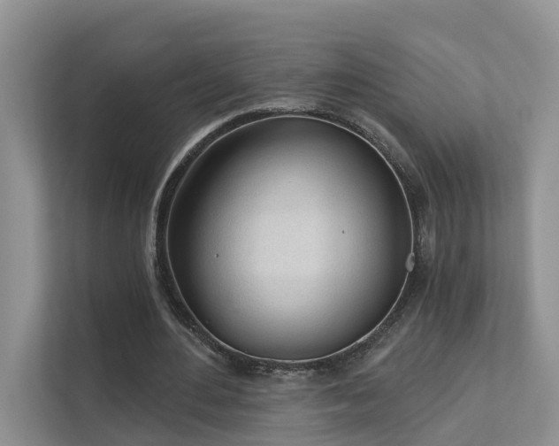 X0000111610484200907171227