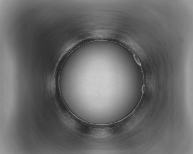 X0000111610488200907171227