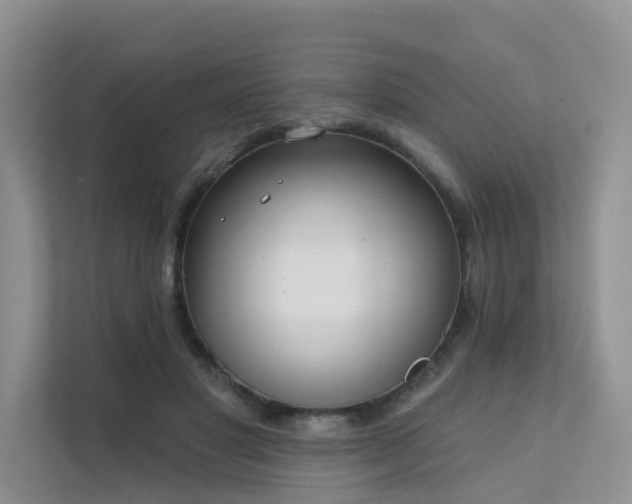 X0000111610501200907171227