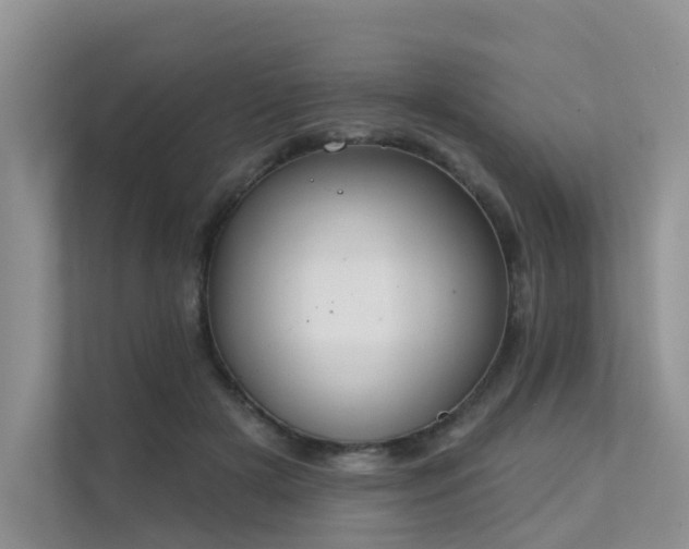X0000111610505200907171227