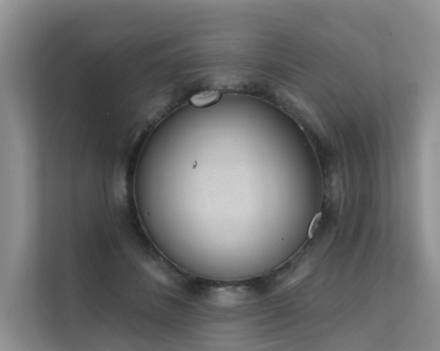 X0000111610508200907171226