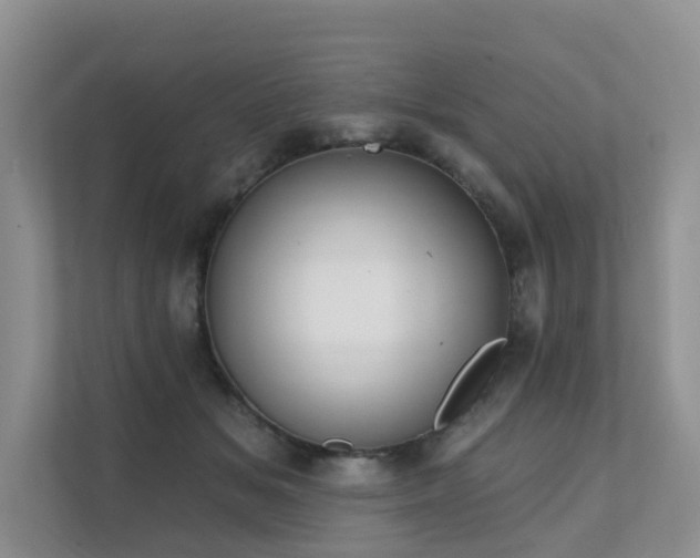 X0000111610509200907171226