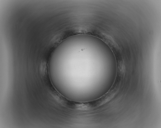 X0000111610511200907171226