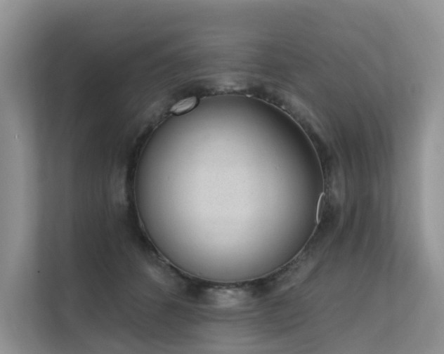 X0000111610512200907171226