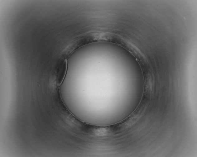 X0000111610513200907171226