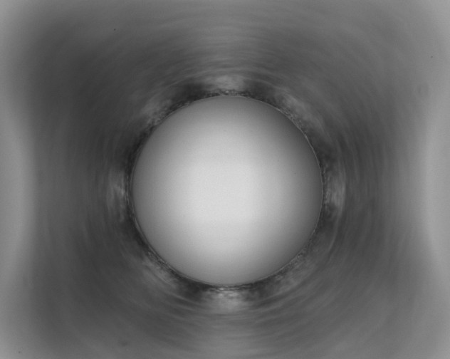 X0000111610518200907171226