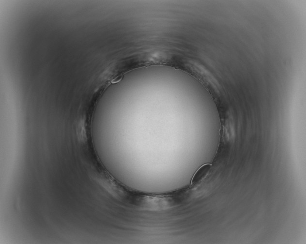 X0000111610520200907171226