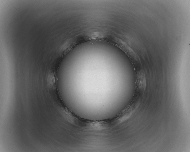 X0000111610523200907171226