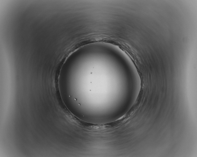 X0000111610524200907171226