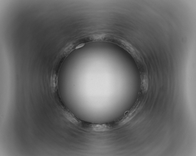 X0000111610525200907171226