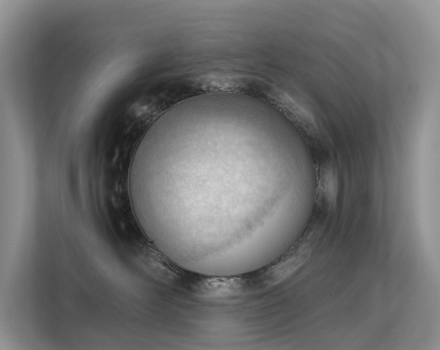 X0000111610526200907171226