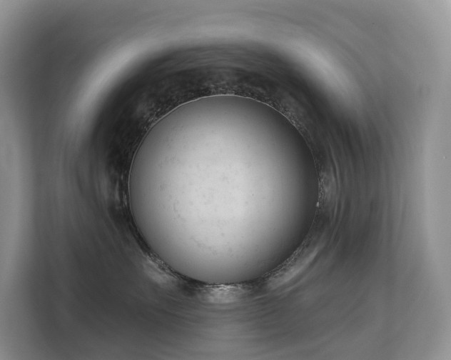 X0000111610527200907171226