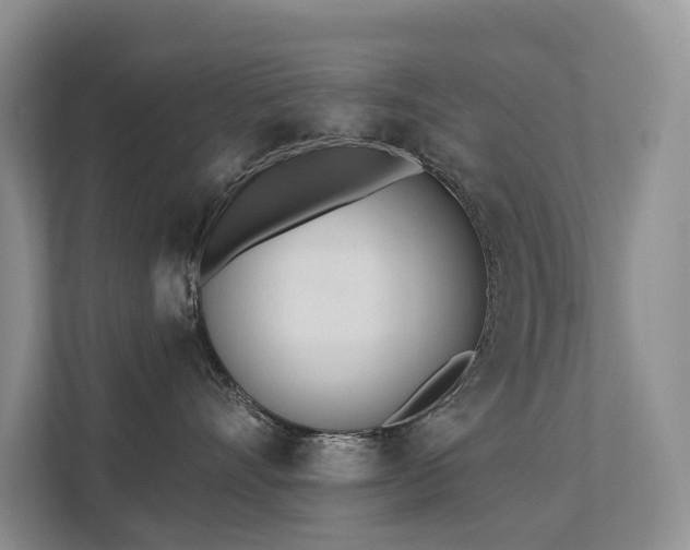 X0000111610528200907171226