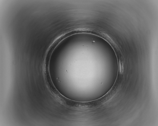 X0000111610531200907171226