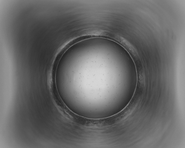 X0000111610532200907171226