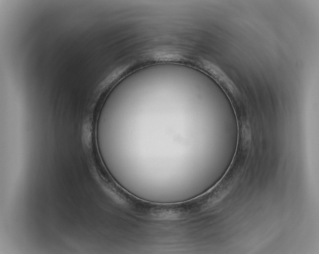 X0000111610533200907171226