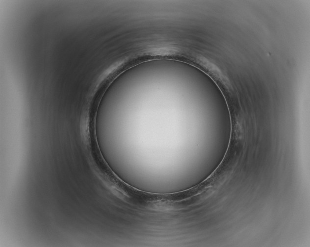 X0000111610535200907171226