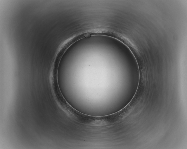 X0000111610536200907171226