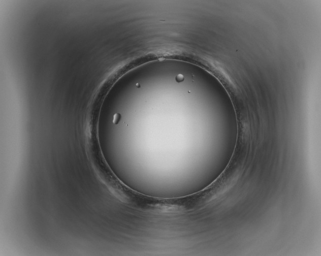 X0000111610539200907171226