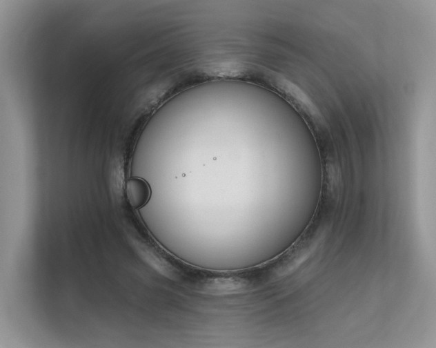X0000111610541200907171226