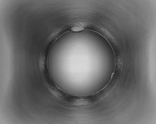 X0000111610544200907171226