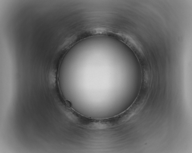 X0000111610545200907171226