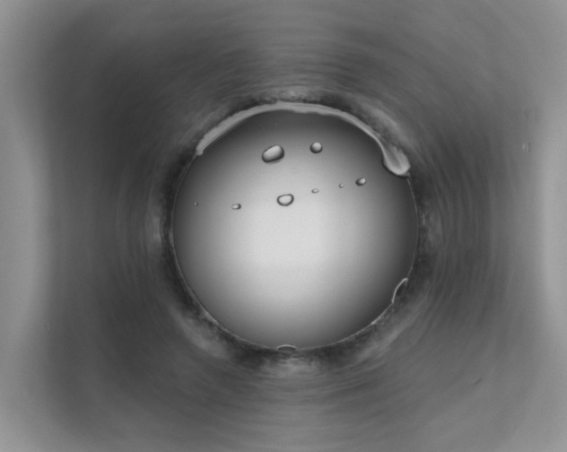X0000111610546200907171226