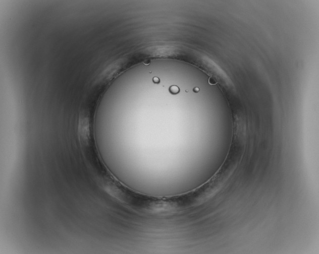 X0000111610549200907171226