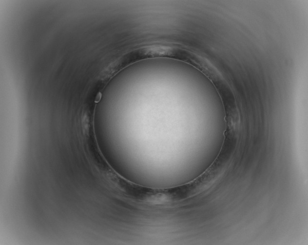 X0000111610551200907171226