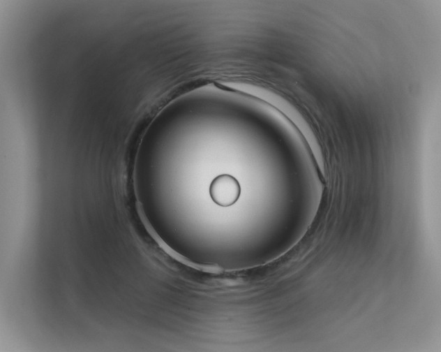 X0000111610552200907171226
