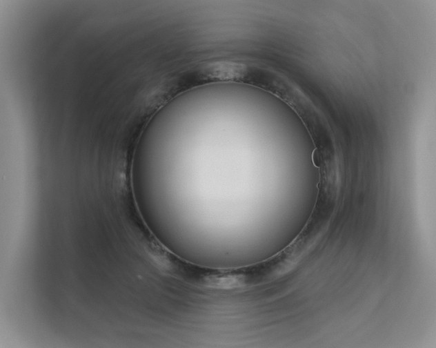 X0000111610553200907171226