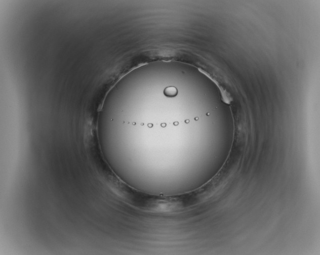 X0000111610555200907171226