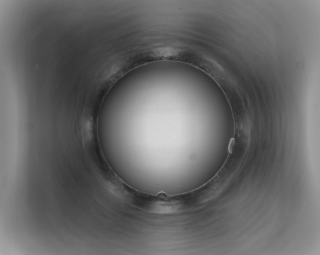 X0000111610556200907171226