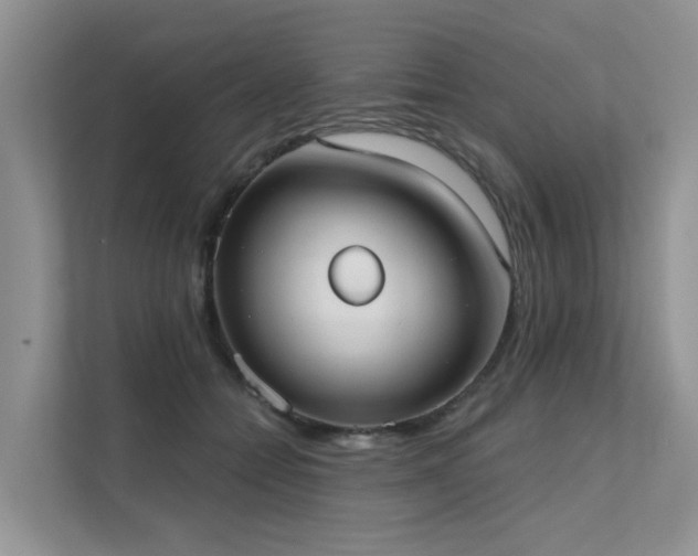 X0000111610558200907171226