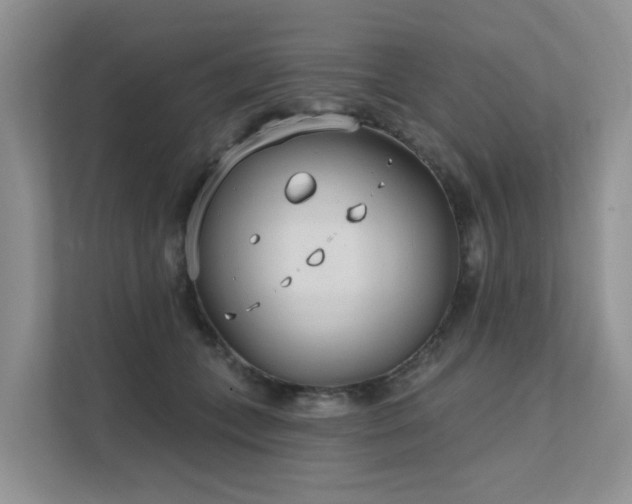 X0000111610559200907171226