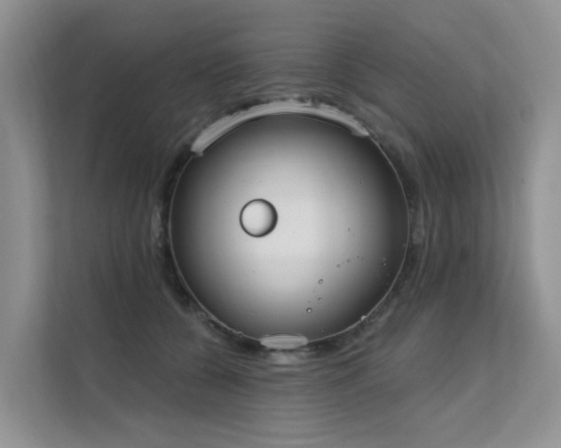 X0000111610560200907171226