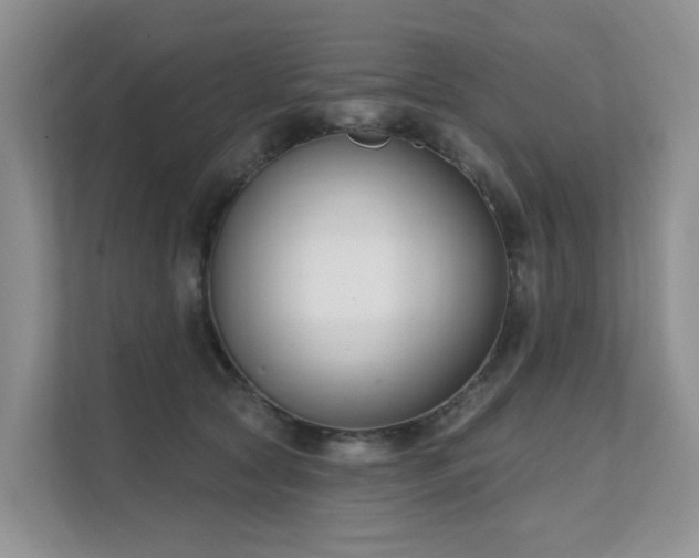 X0000111610561200907171226