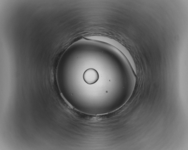 X0000111610562200907171226