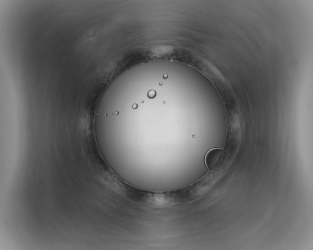 X0000111610565200907171226