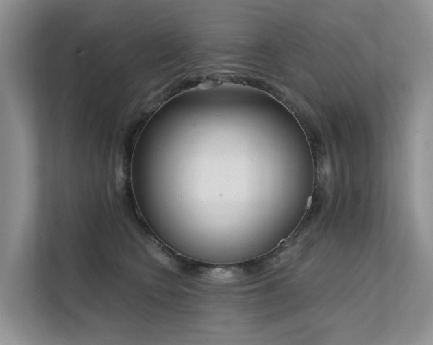 X0000111610566200907171226