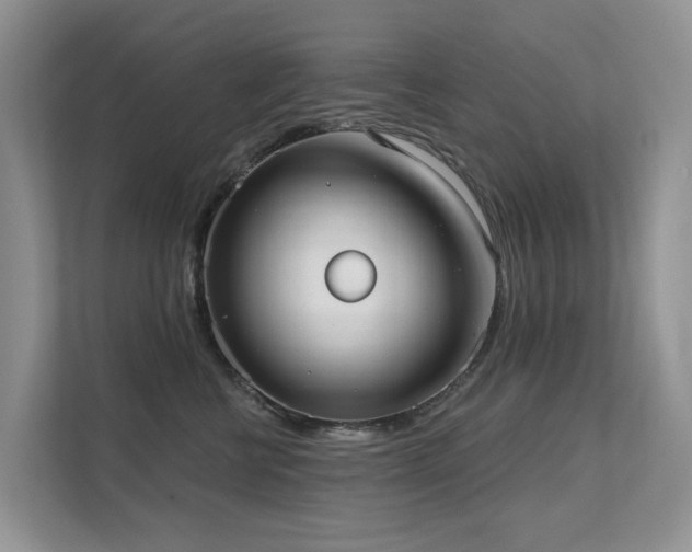 X0000111610570200907171226