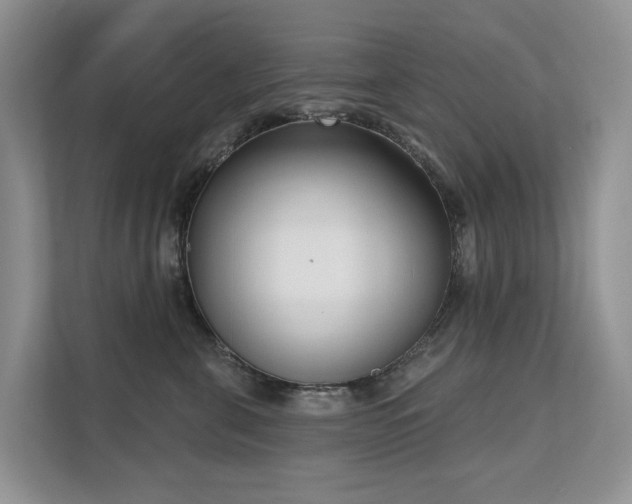 X0000111610571200907171226