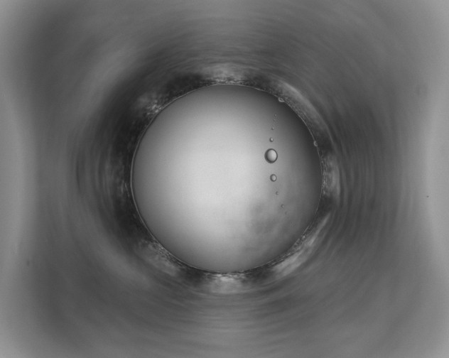 X0000111610573200907171226